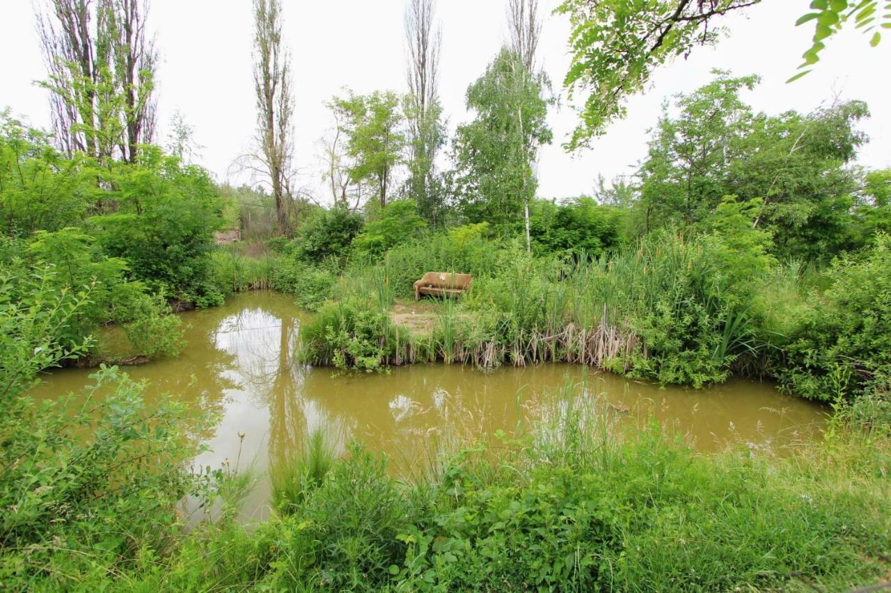 Фазенда "Змерега" Solotvyno Exterior photo